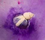 680A6644-29B3-2E18-FDC5-1BCBF04B8509