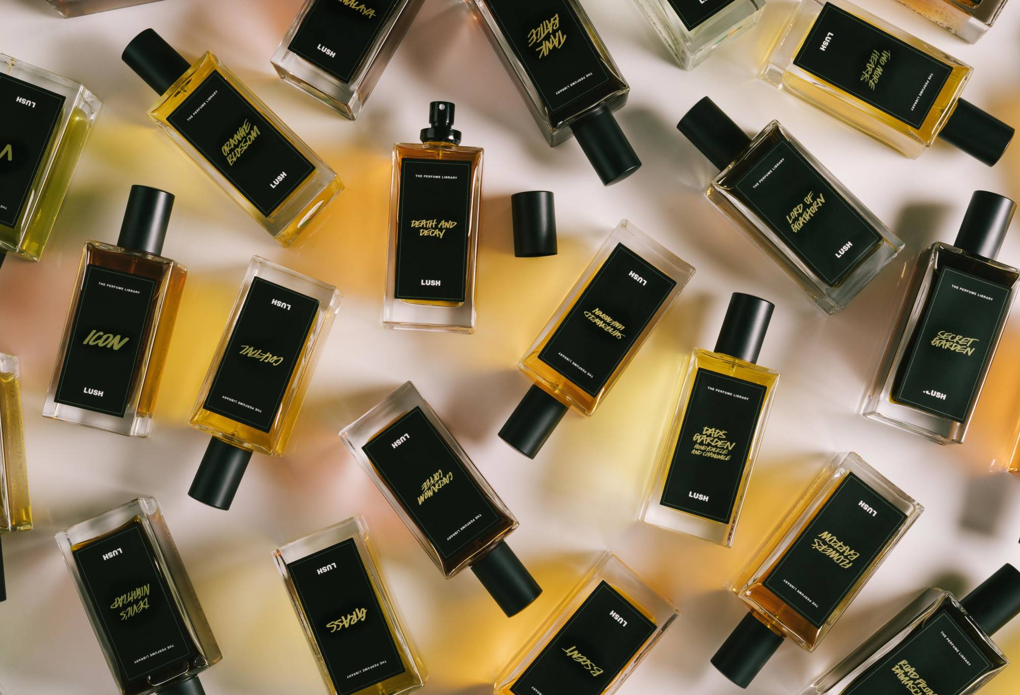 6B4C9521-E427-4D2A-F493-FDC8D7E09578