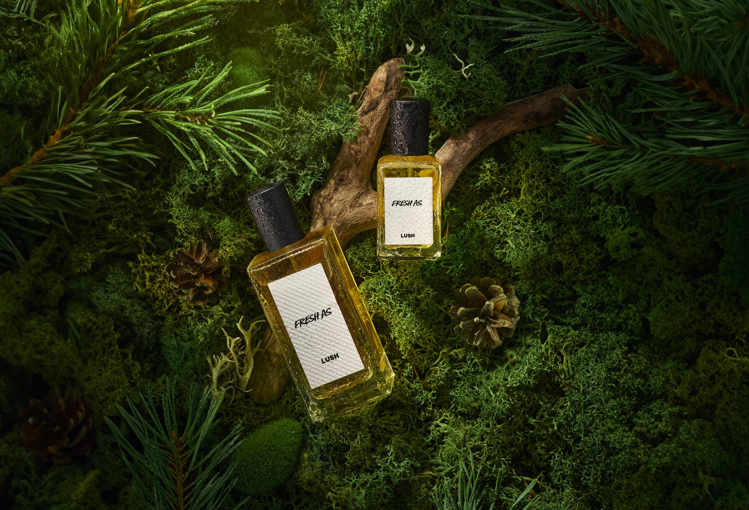 9D92D407-7A8D-28CA-31A4-08DFAA53AD29